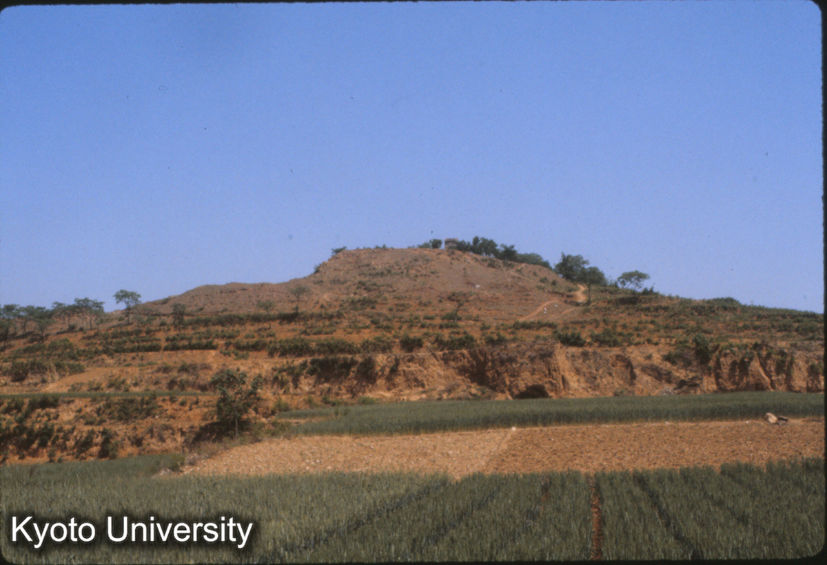 775_偃師緱山 弁仙碑 (1)