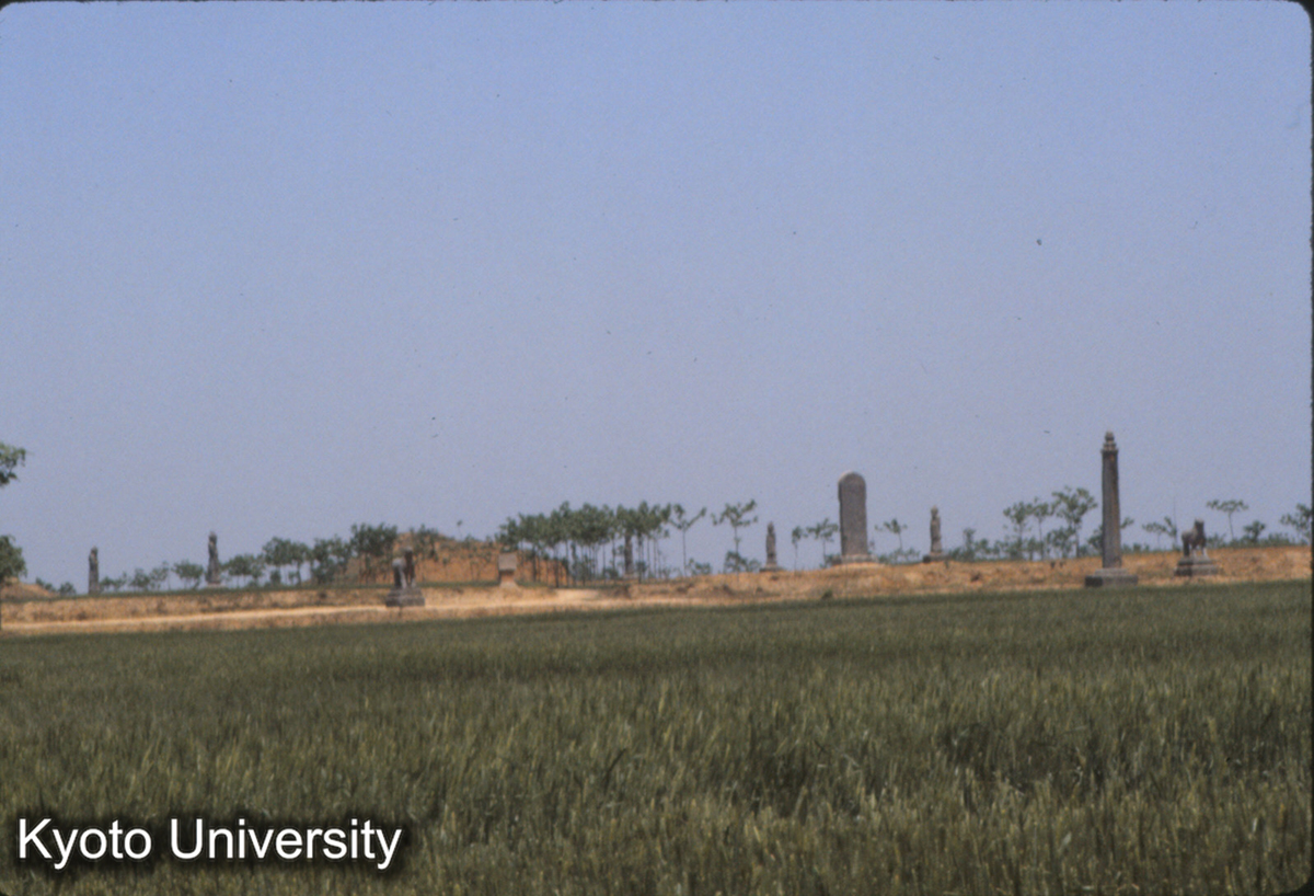 781_偃師 唐恭陵 唐太子李宏陵 (1)