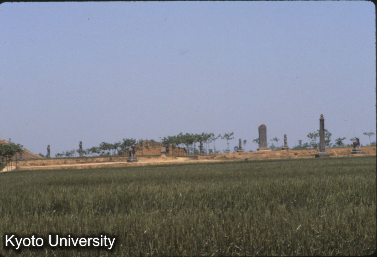 782_唐恭陵 唐太子李宏 (1)