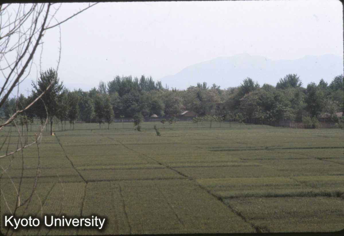 788_二里頭１号遺址 正南方向四角楼対外倒（ここから1km） (1)