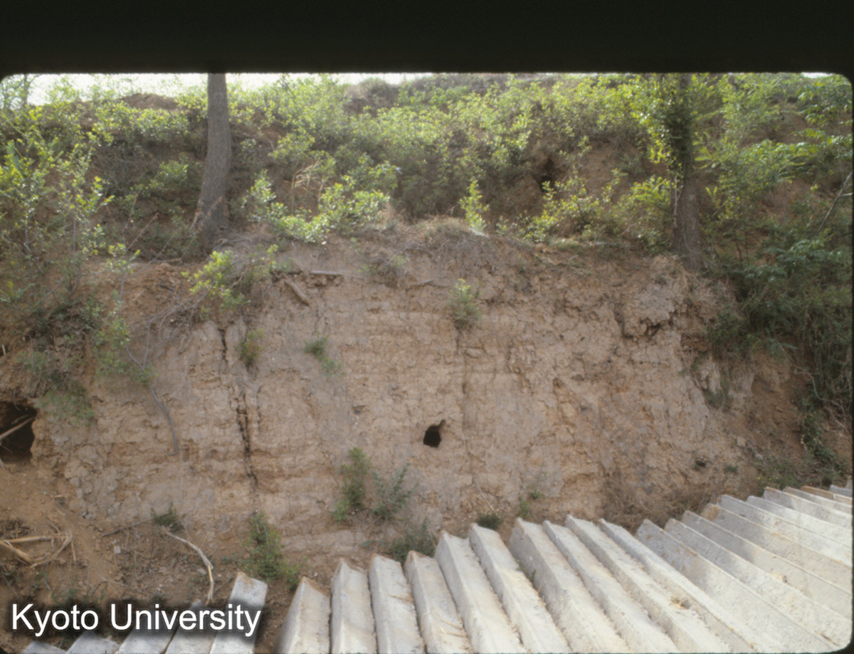 799_洛陽 霊台 夯土層 (1)