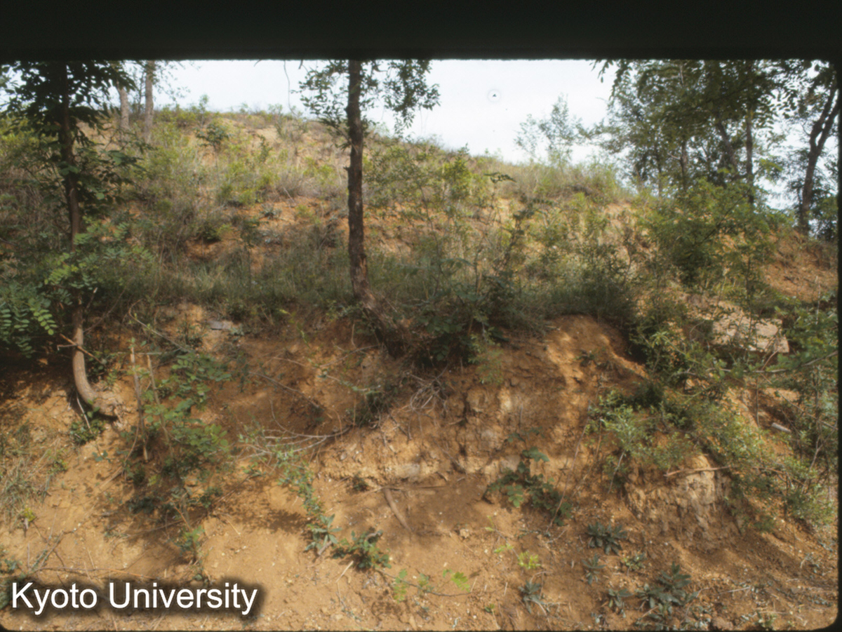 802_洛陽 東漢 霊台 2層台榭 (1)