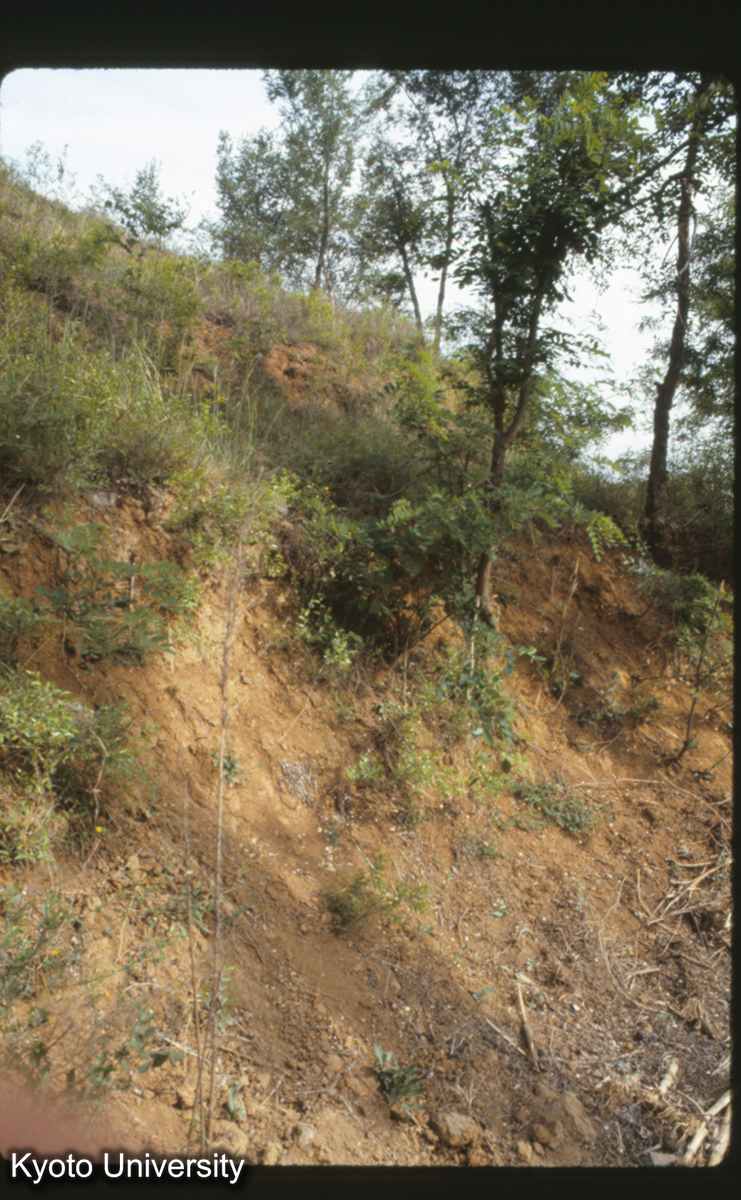 803_洛陽 霊台 2層台榭 (1)