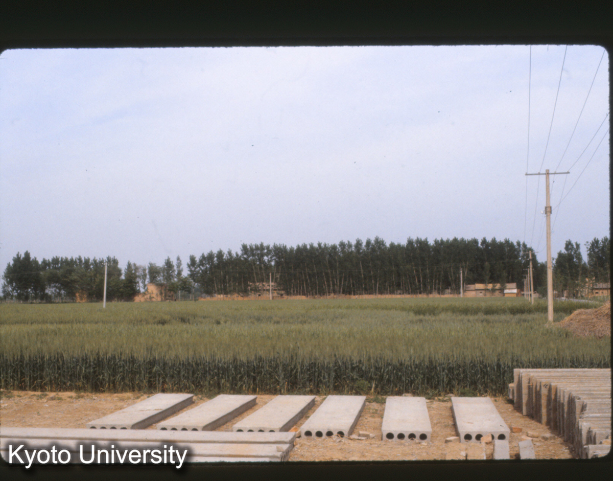 808_洛陽 東漢 明韋（叢林のある村落の所） (1)