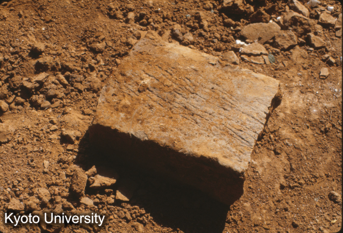 838_唐 洛陽 応天門址 磚（外皮） ア7.0cm大32cm×16cm (1)