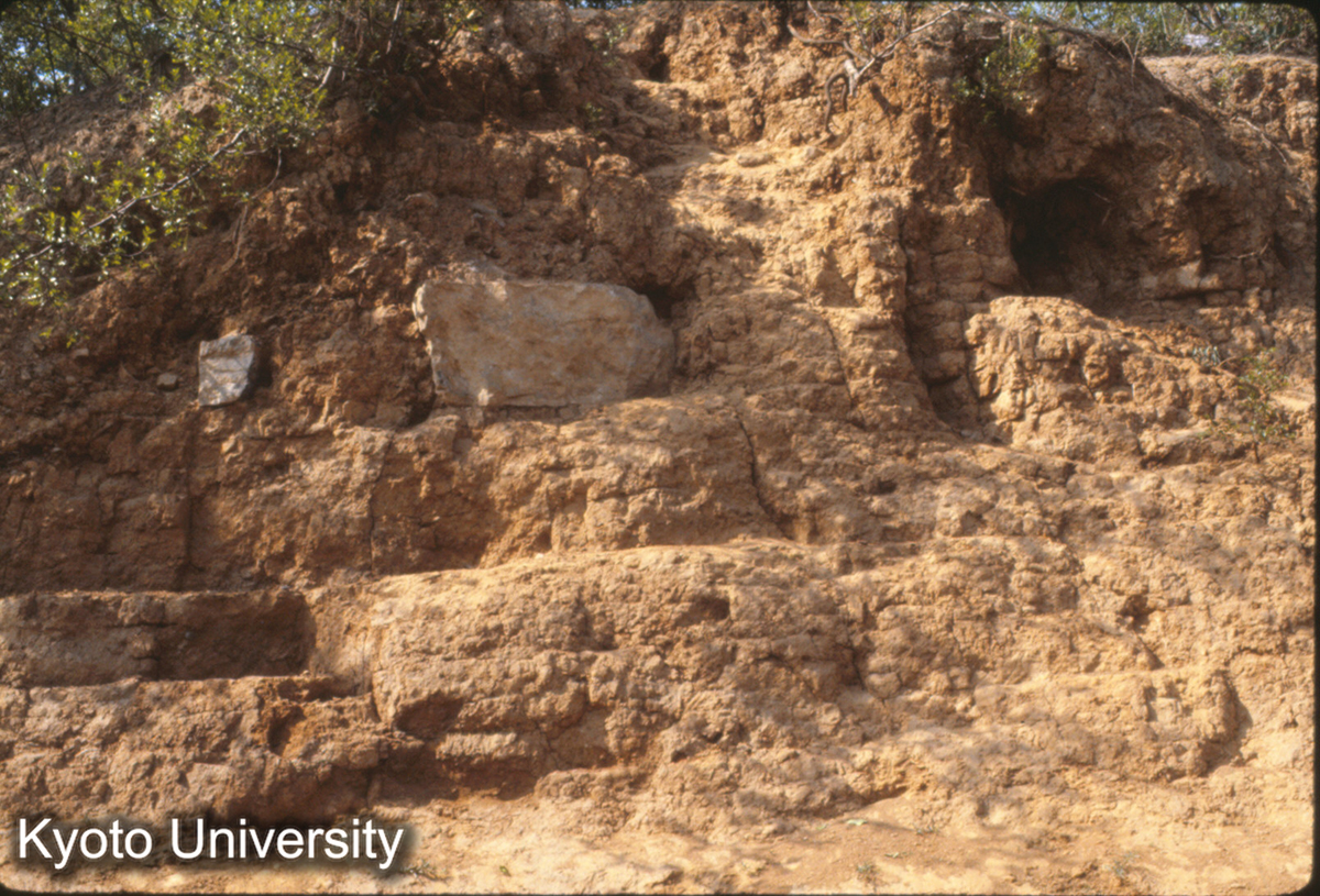 839_唐 洛陽 応天門址 東門闕 柱礎71cm×36cm 下部は夯土基礎（ア9cm） (1)