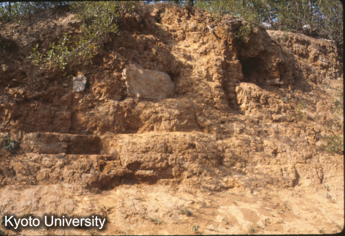 840_洛陽 唐 応天門址 柱礎 柱礎71cm×36cm（最南端） 夯土基礎 夯厚9cm (1)