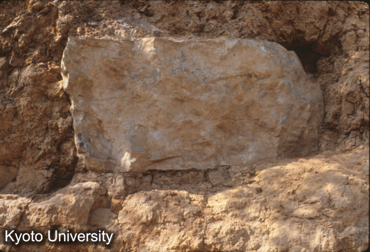 841_洛陽 唐 応天門 柱礎 （東闕） (1)