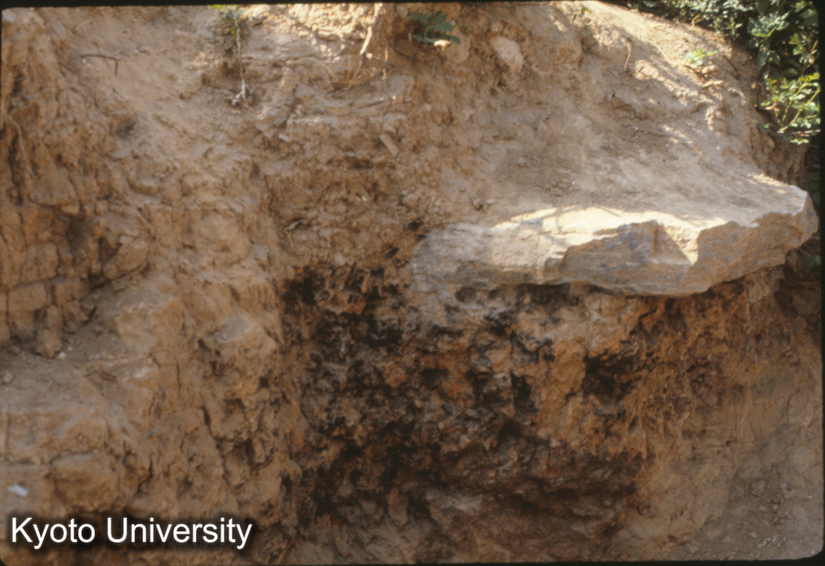 843_洛陽 応天門 東端 平たい礎石は宋代重修 (1)