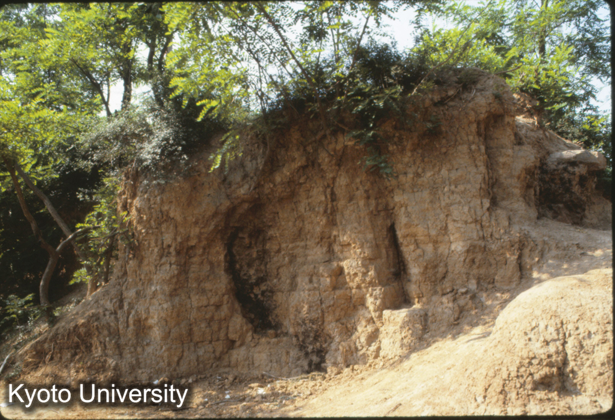 846_洛陽 応天門東闕 最南端 (1)