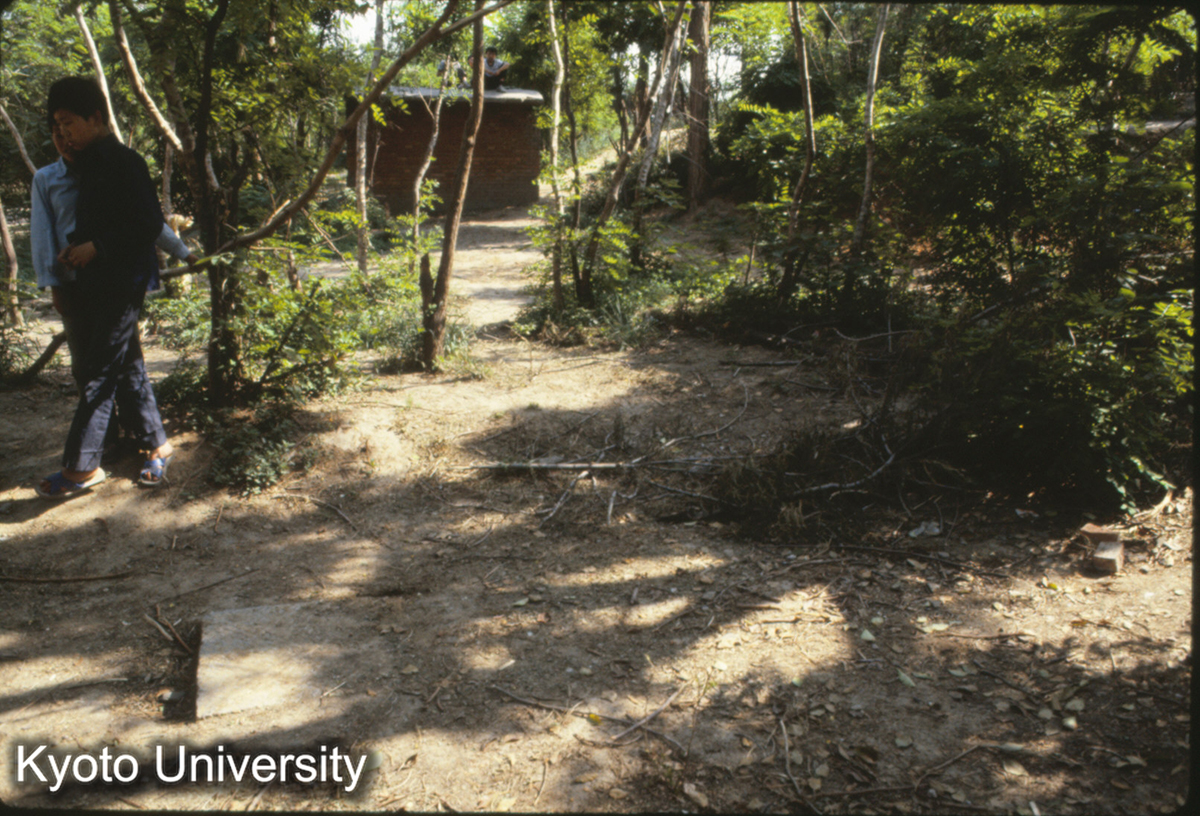 847_洛陽 応天門東闕北部 当初柱礎 (1)