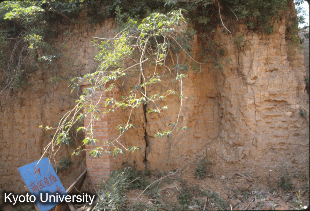 867_隋唐洛陽外郭城北墻 寛14－18cm、夯土13cm_87 (1)