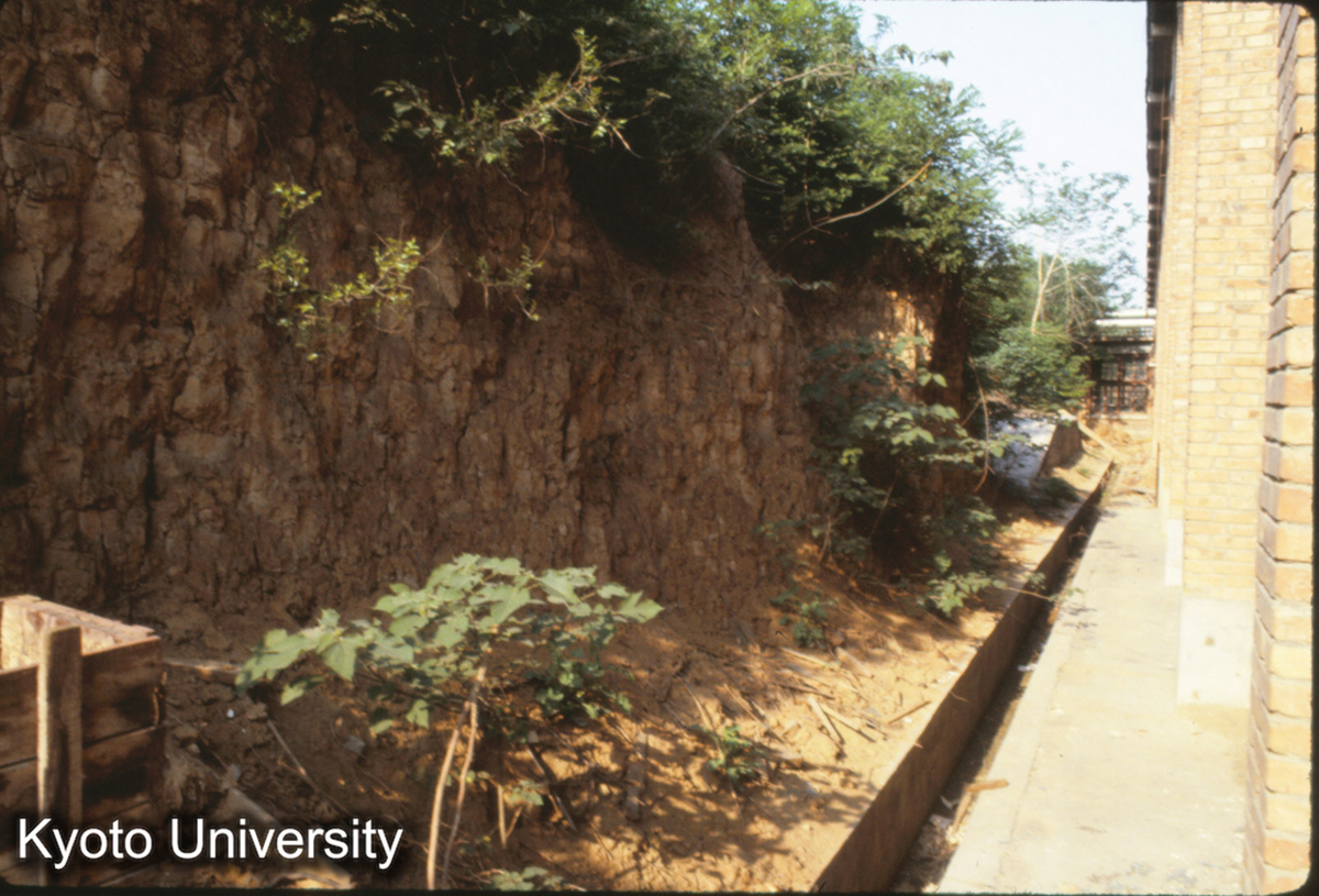 872_隋唐洛陽城北墻 残高5m (1)