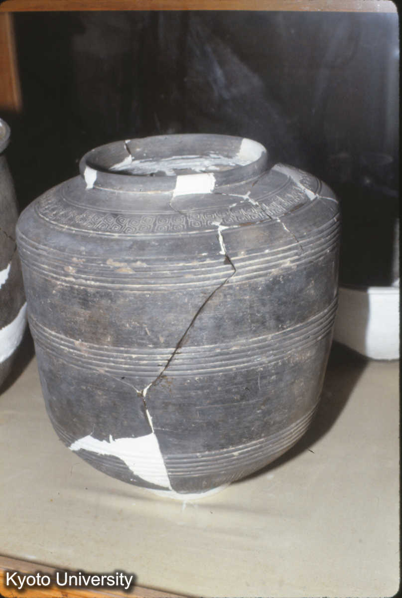 876_尊 二里頭一期（考古所洛陽工作站展覧室） (1)