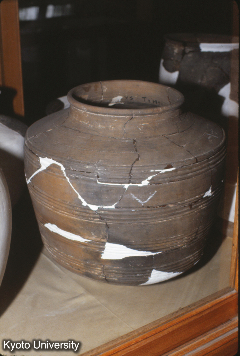 877_尊 二里頭一期（考古所洛陽工作站） (1)