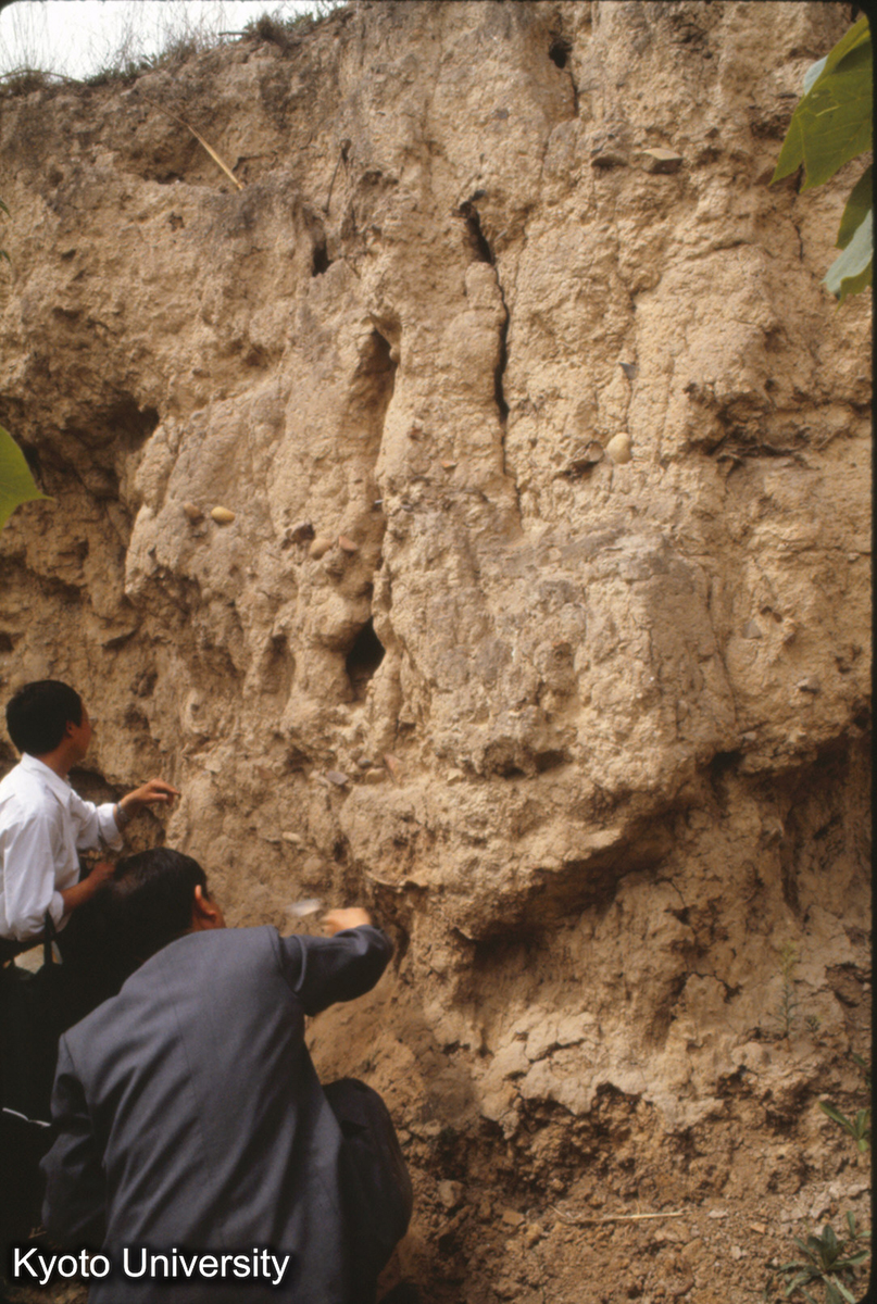 927_洛陽 王湾遺址（西郊） 王湾 I龍山 II過渡 III仰韶 (1)
