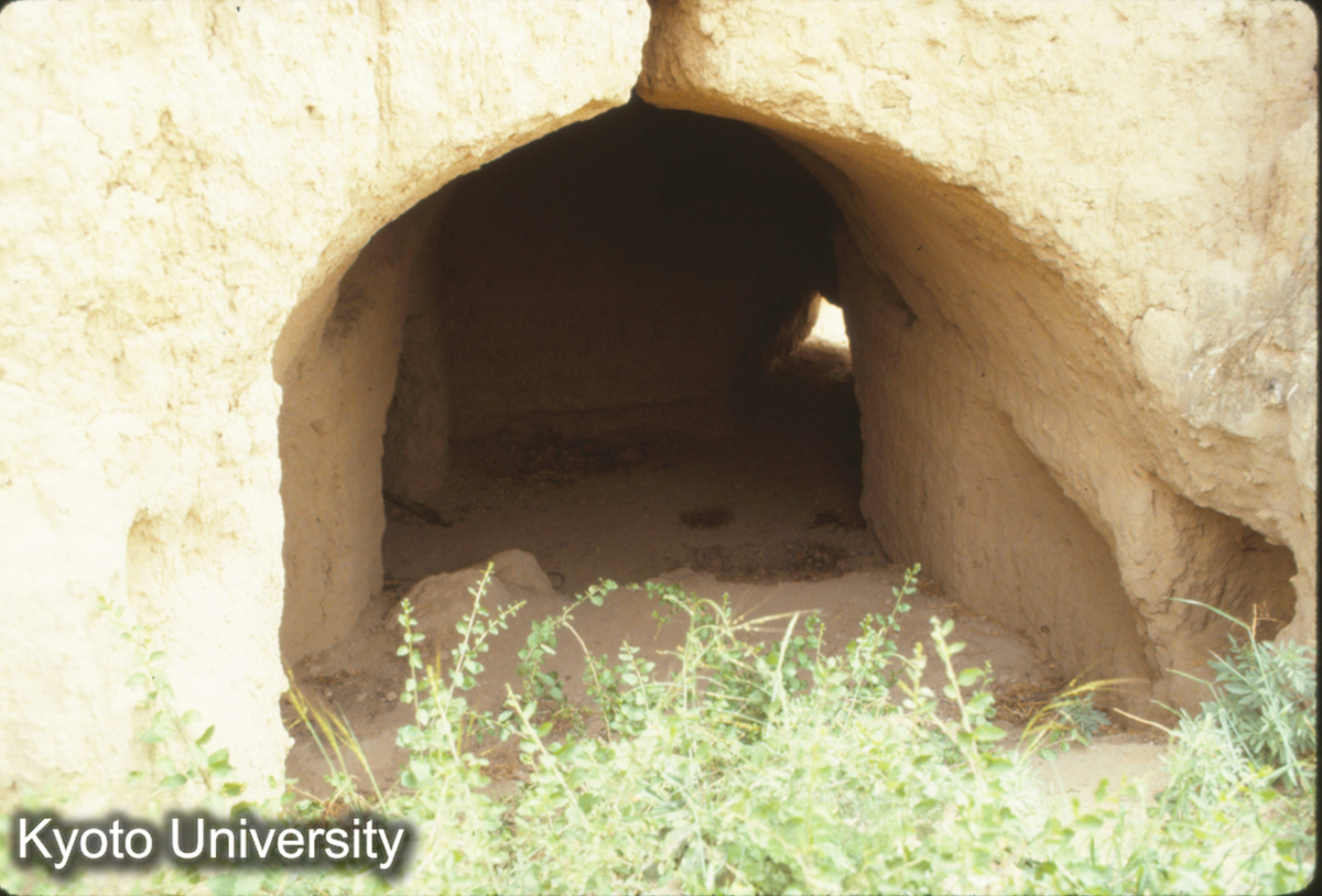 933_窯洞 王湾 (1)