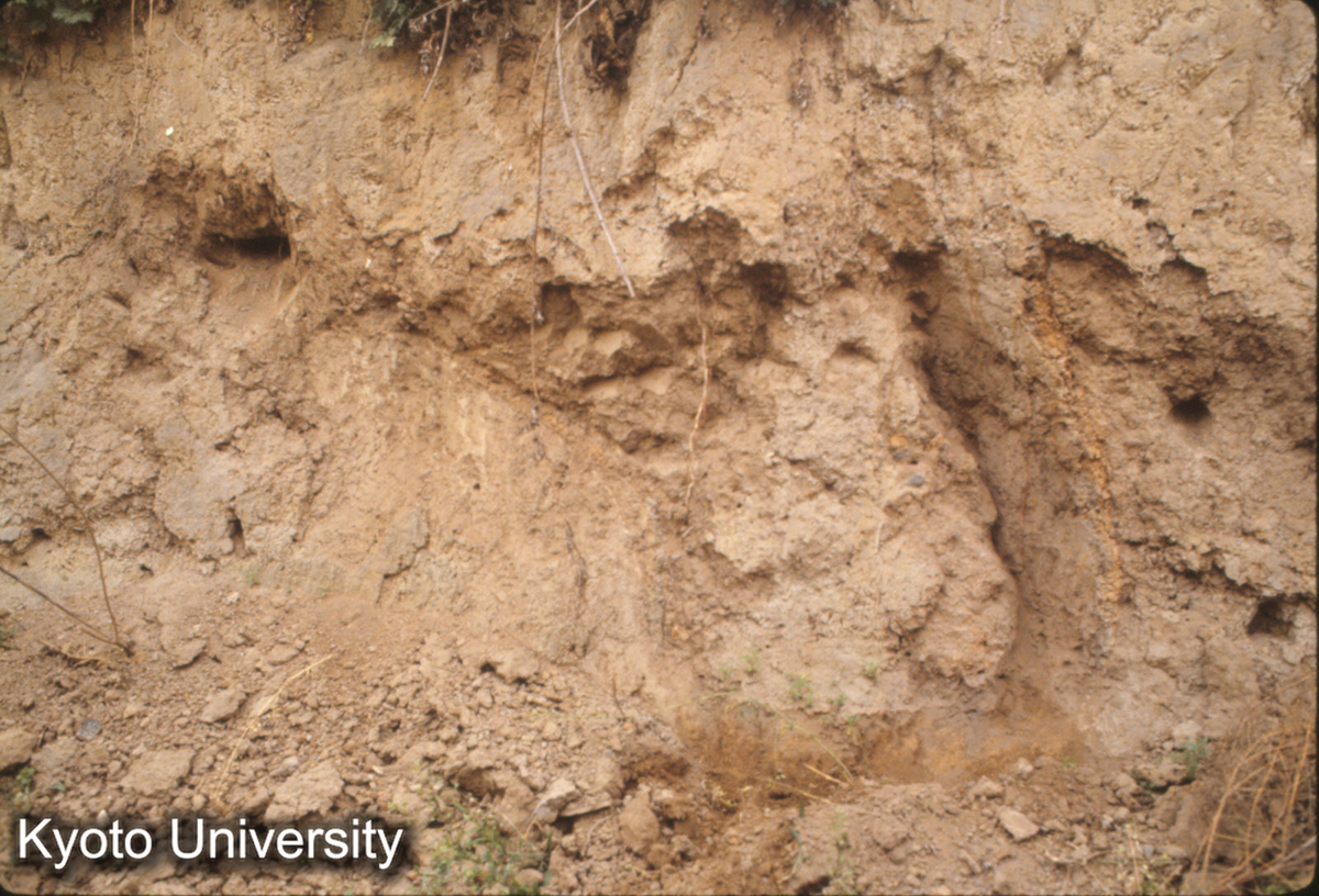 938_洛陽 矬李遺址 龍山文化窖穴 (1)