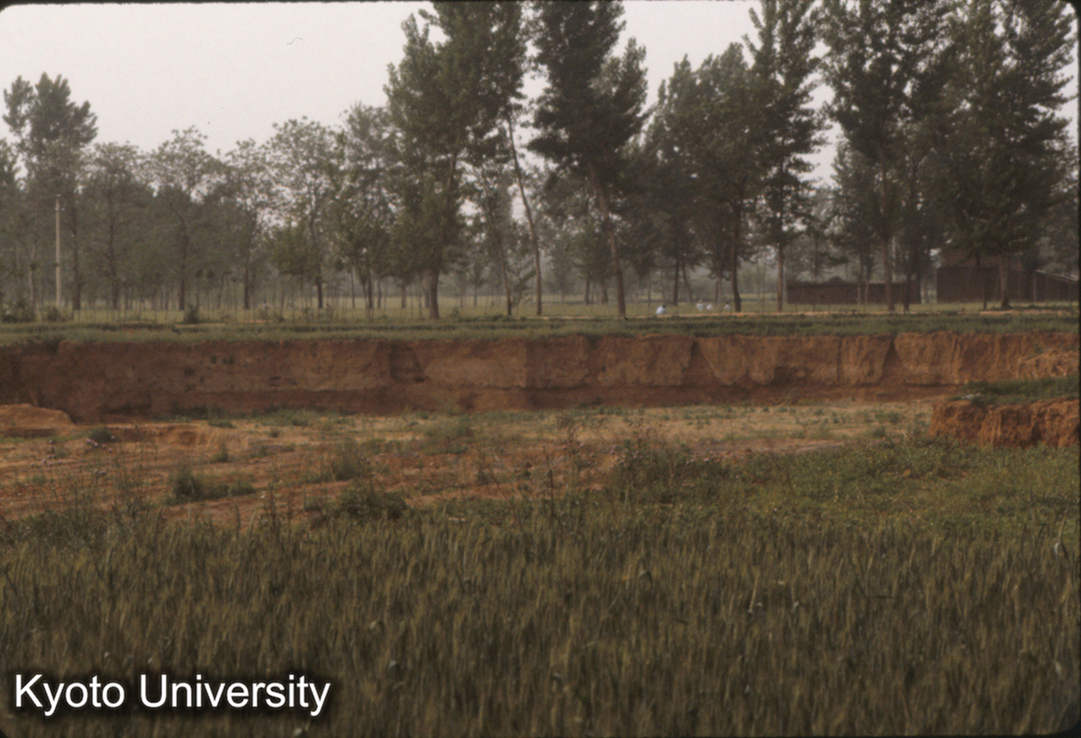 953_隋唐洛陽城南墻（南面） 定鼎門西側付近（白いのが夯土墻） (1)