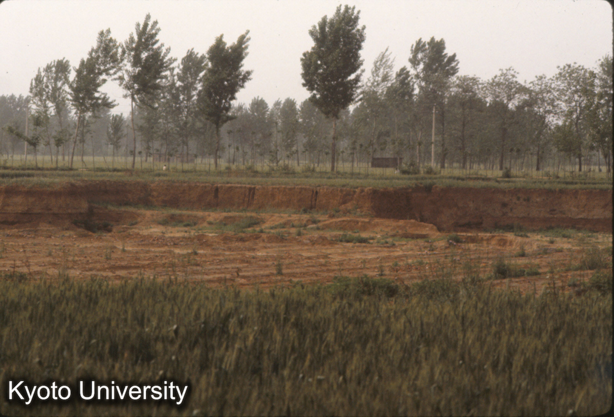 954_隋唐洛陽城南墻 定鼎門西側部分（白いのが夯土墻） (1)