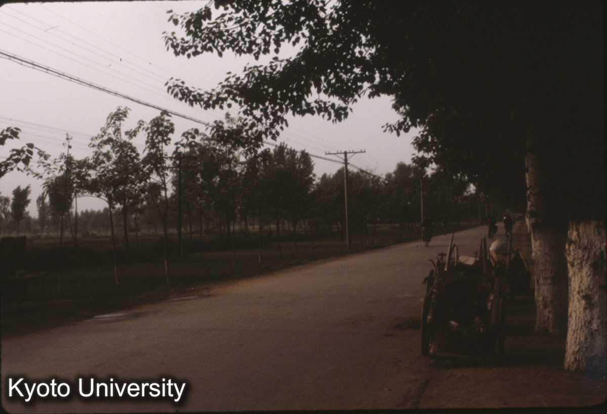 955_定鼎路（定鼎門） (1)