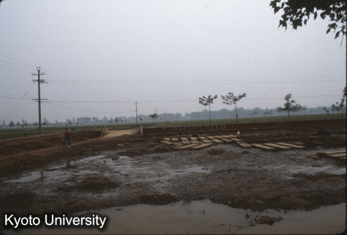 961_洛陽金村 (1)