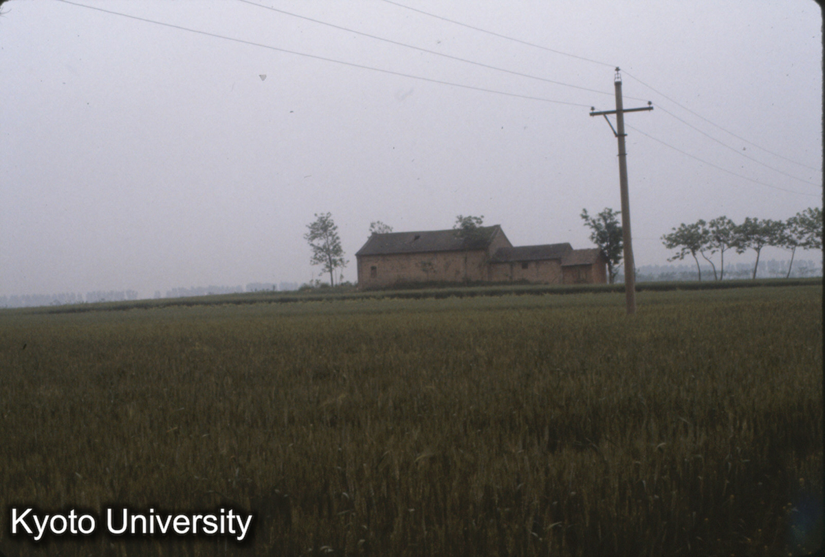 962_洛陽金村（漢魏洛陽城西北部にあたる） (1)