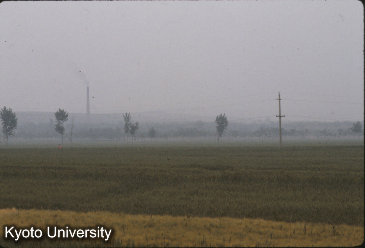 968_並木のあたりか? 金村大墓の址 西南よりみる (1)