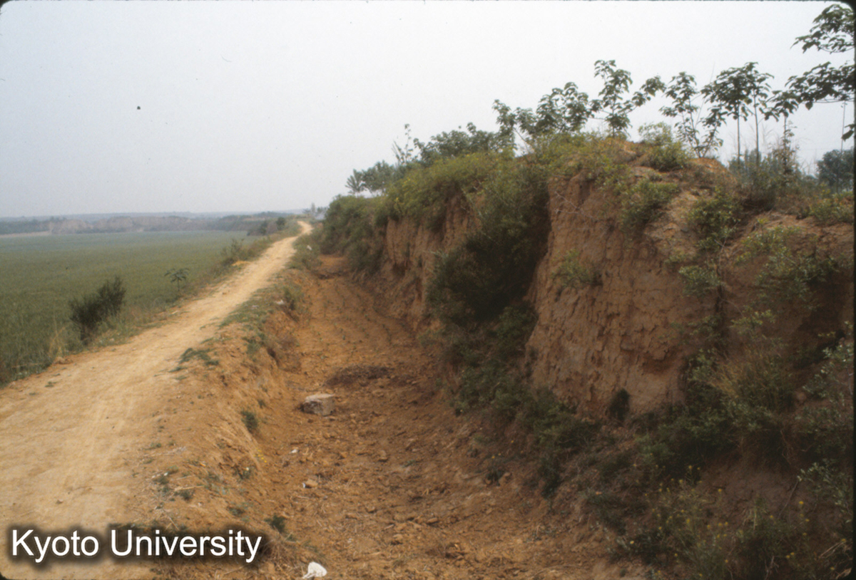 969_漢魏洛陽城北墻 (1)