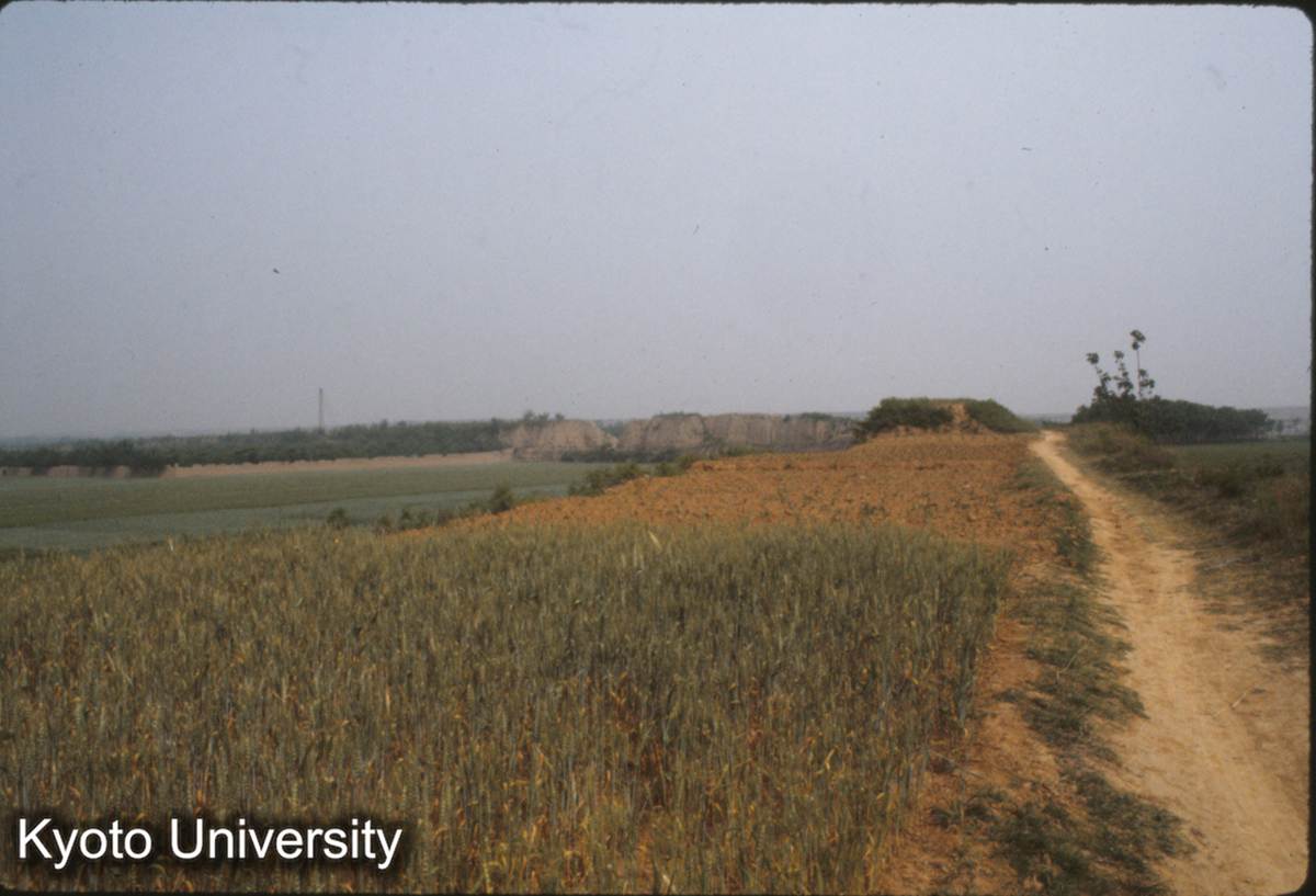 972_漢魏洛陽城 東墻から北墻をみる (1)