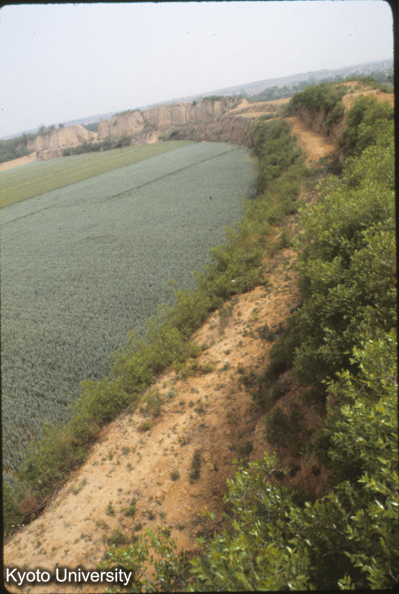 973_漢魏洛陽城墻東北部 東墻の上から北墻東北角をみる_◎ (1)