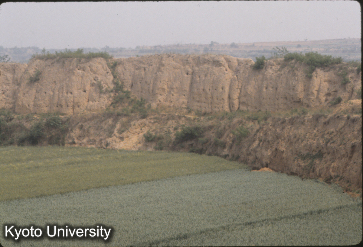 974_漢魏洛陽城北墻 (1)