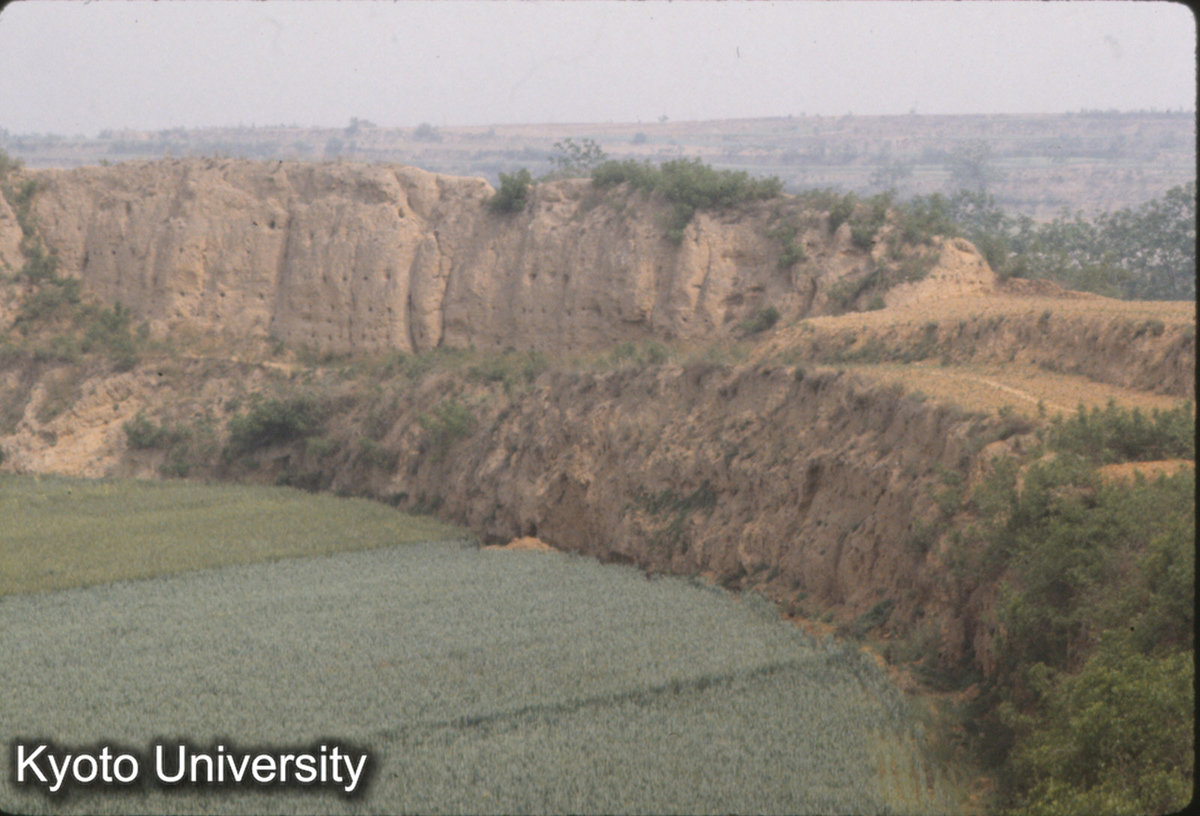 976_漢魏洛陽城東北角 (1)