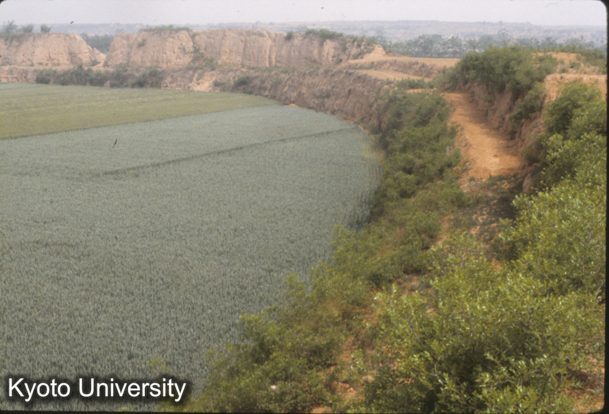 978_漢魏洛陽城 東墻より北墻をみる_87_◎ (1)