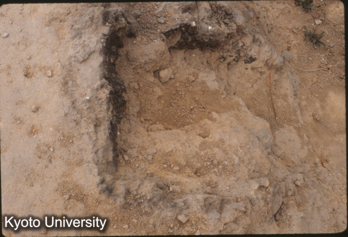 988_永寧寺塔 4本合わせ柱の１（西北角） (1)