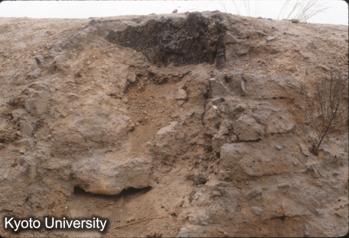 991_永寧寺塔 4本柱の1（西北角） (1)