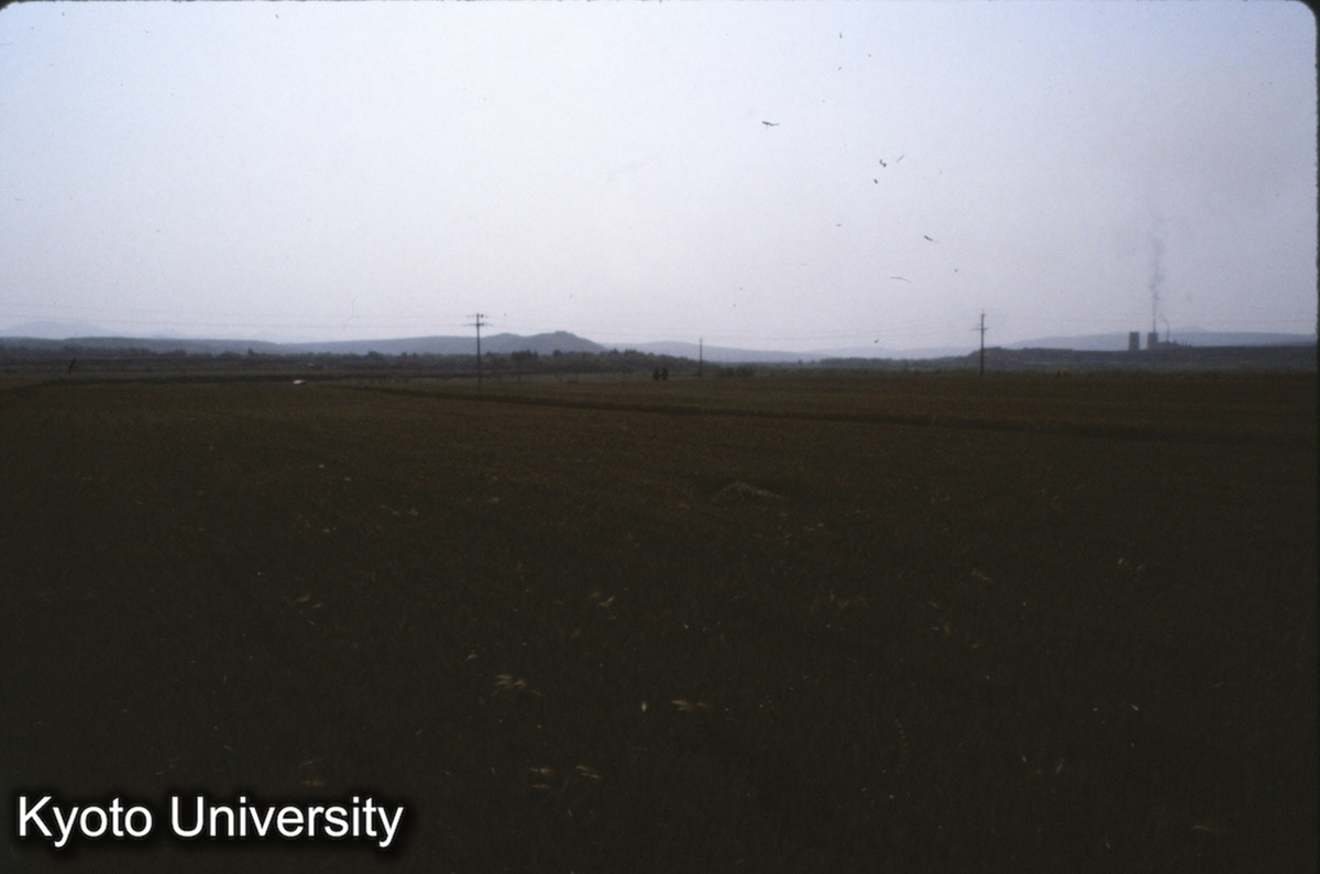 1143_登封王城崗（龍山文化、城墻100m弱） 西82m 西北角城外から東南をみる (1)