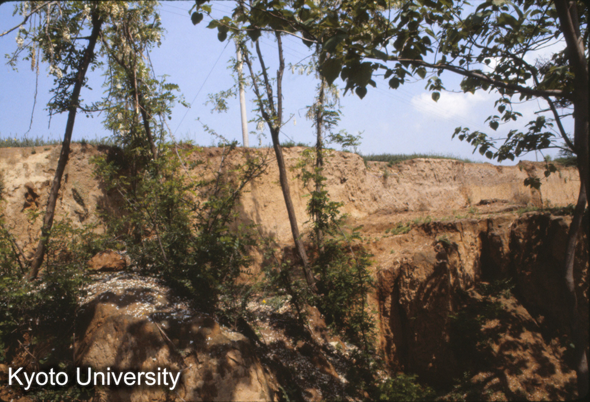 1150_登封陽城 北溝村 東城墻（東南角やや北寄り） 戦国 城外（東）よりみる。 (1)