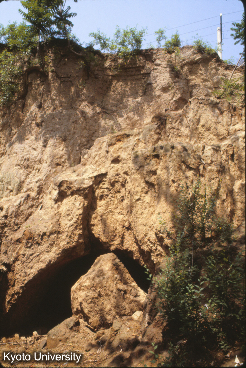 1152_陽城東城墻 夯土層上のみ (1)