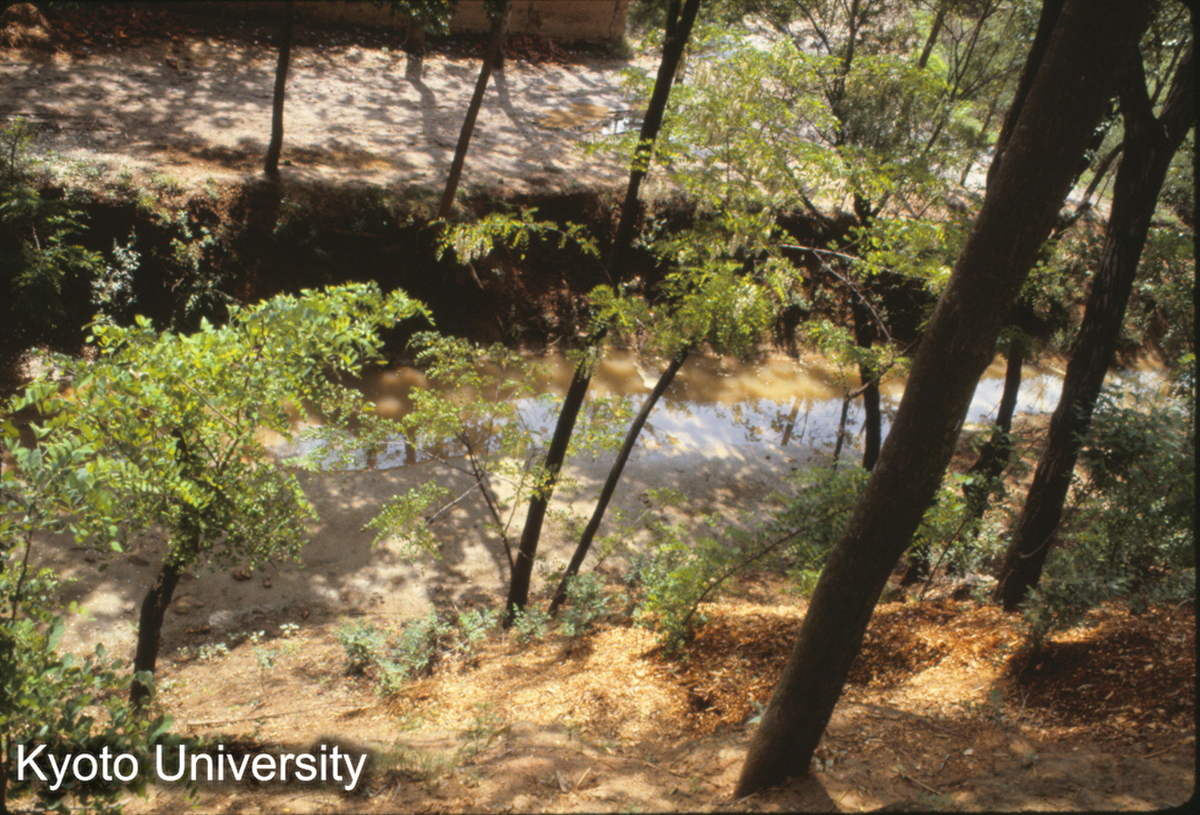1157_陽城 東城墻外 護城河らしい (1)