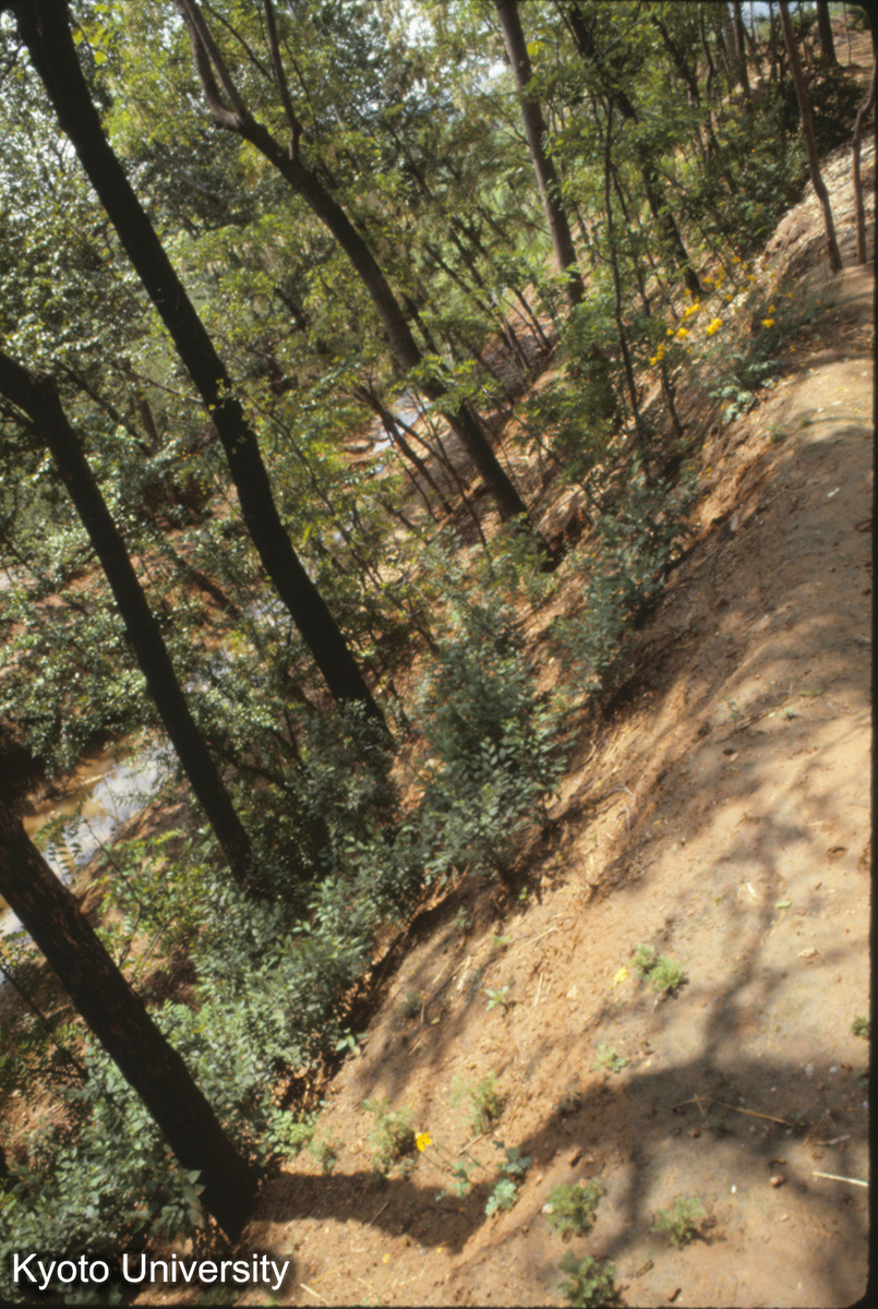 1158_陽城 東城墻 護城河 (1)