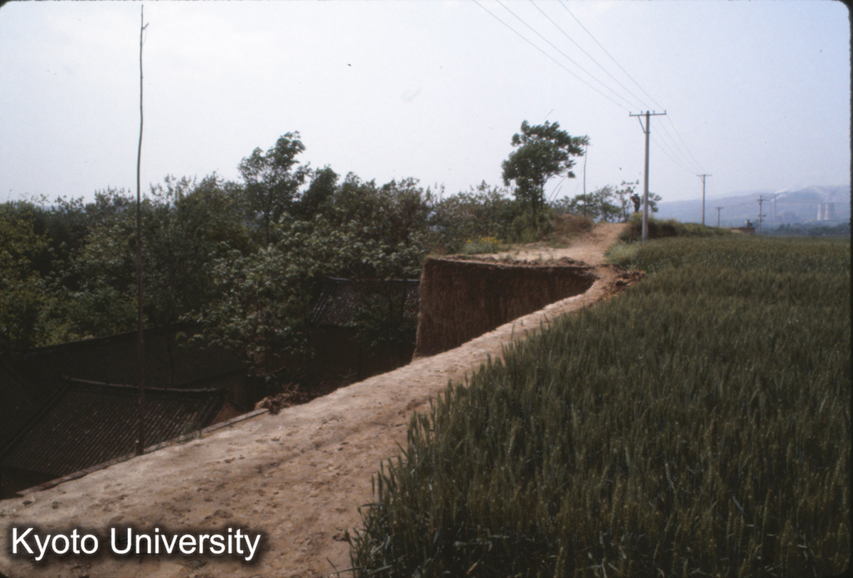 1166_陽城 東城墻（地上）内側 (1)