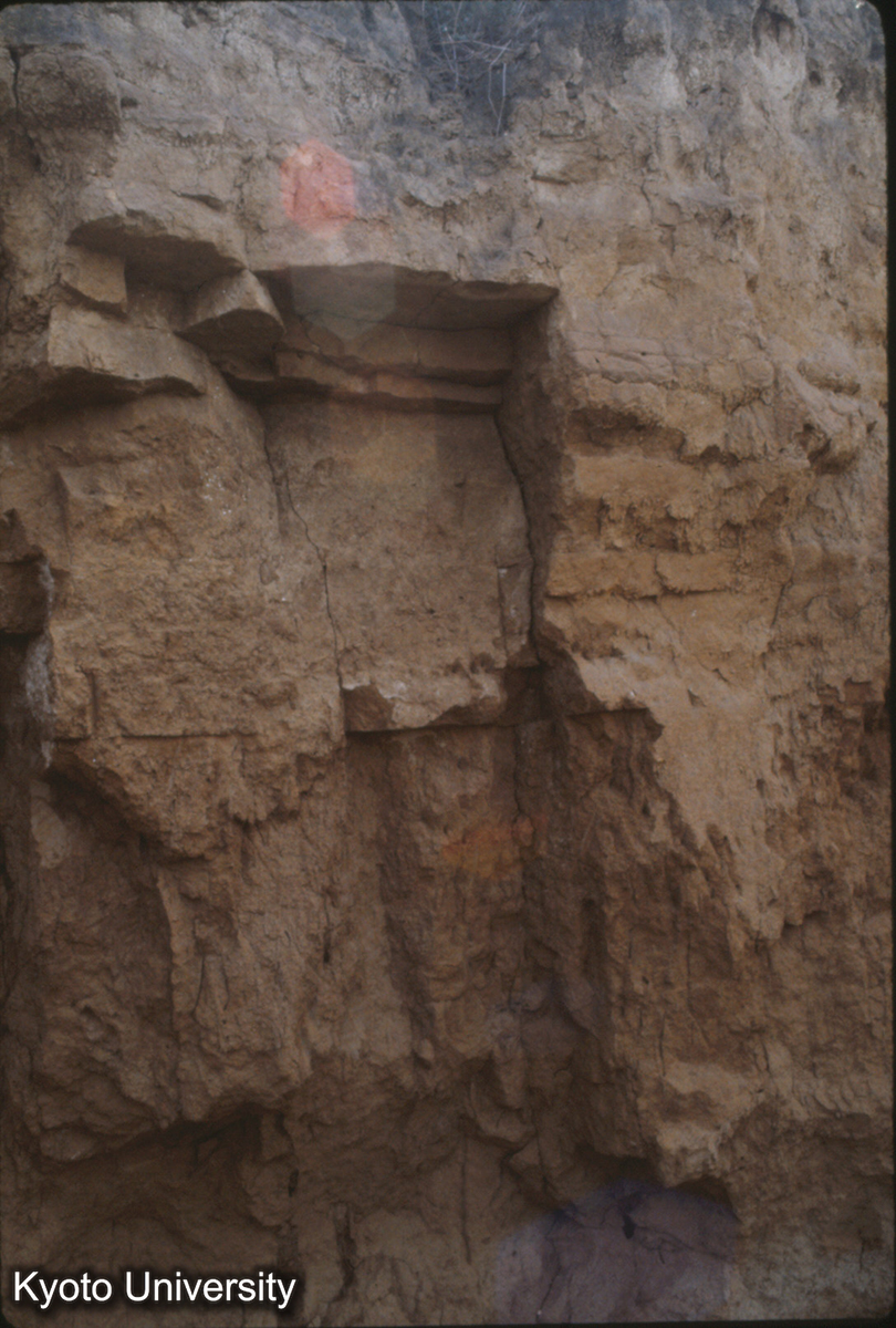 1208_古滎陽城 西城墻中央部 西よりみる 西漢 南北2km東西1.5km (1)