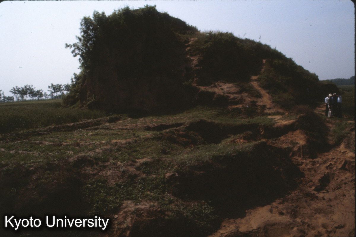 1211_古滎陽城 北墻 欠口が城門_87 (1)