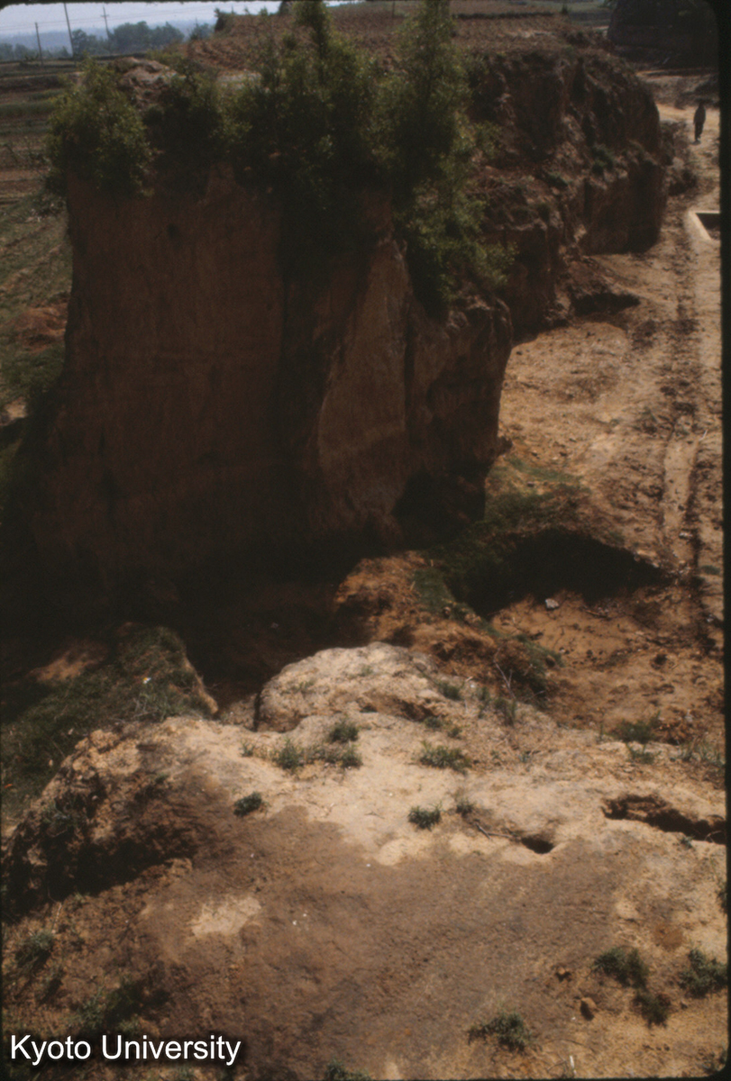 1220_古滎陽城墻北城墻 西段上から (1)