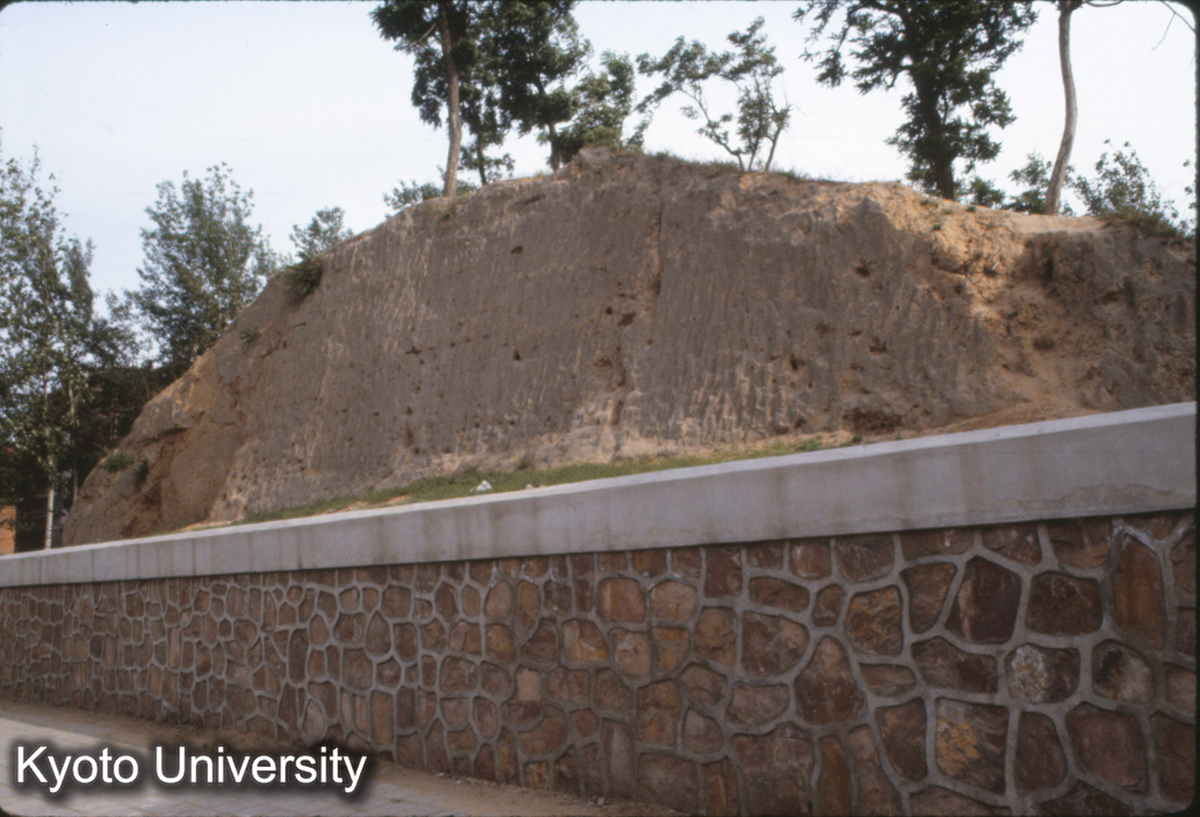 1246_鄭州商城 東墻 (1)