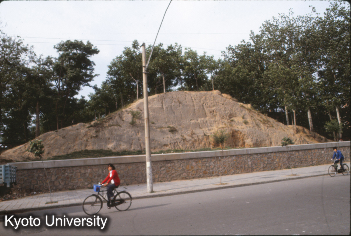 1247_鄭州商城 東墻_87 (1)