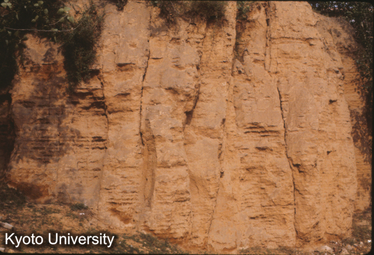 1249_鄭州商城 東土墻 (1)