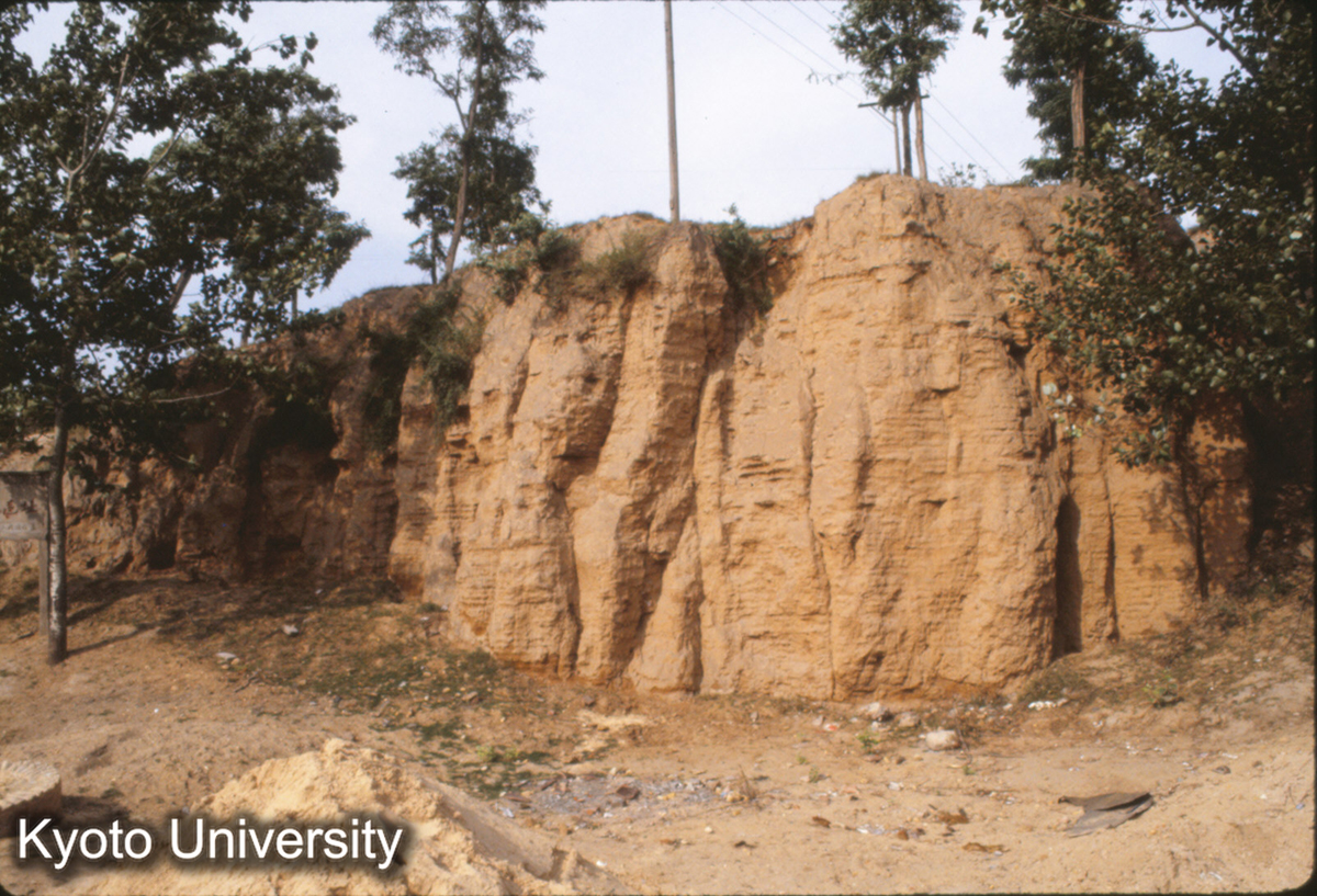 1253_鄭州商城 東墻 夯土層 (1)