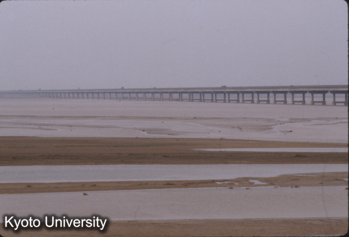 1319_花園口 黄河大橋 (1)